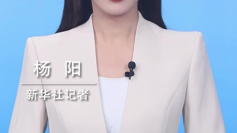 SAP与Oracle供应链软件：性能与架构的深度解析